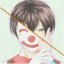动画粉Tom